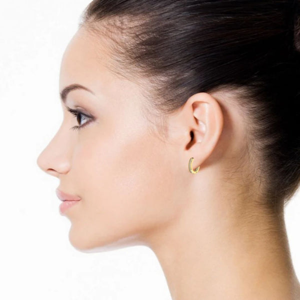 Luxury 0.25 CT Inside Outside Diamond Hoop Earrings